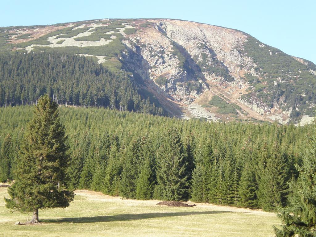 Ubytovani U Vorechovskych Pec pod Snezkou Exterior photo